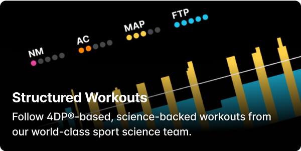 workout card
