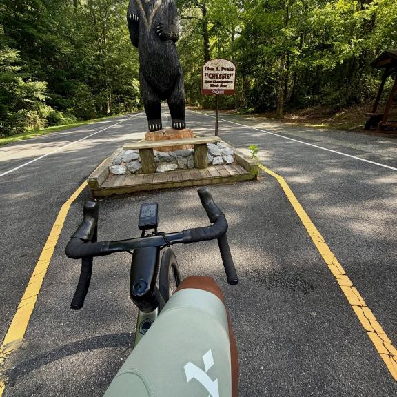 Community photo shared with #Wahooligan