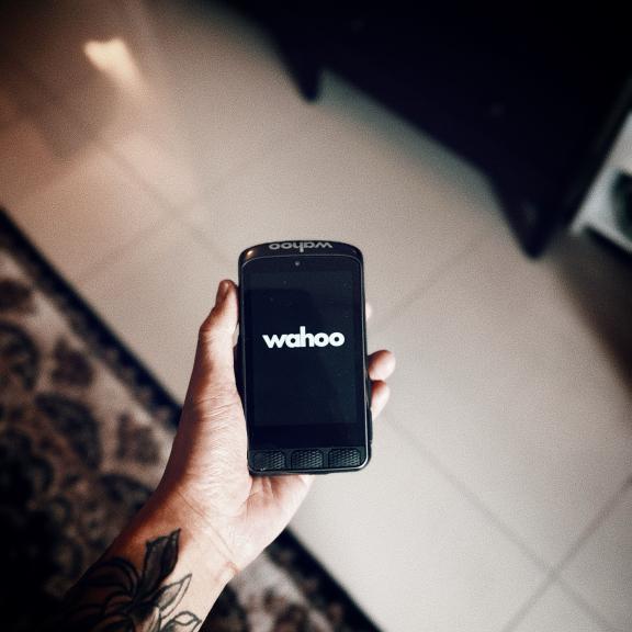 Community photo shared with #Wahooligan